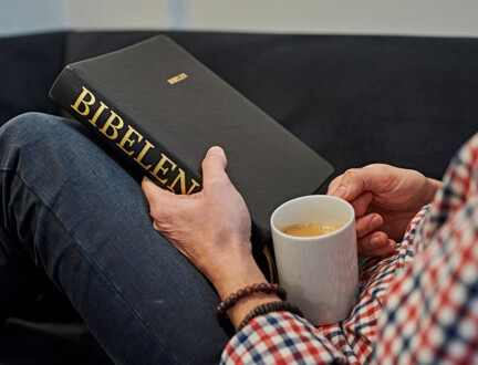 Bibelen på andre sprog