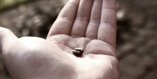 Tips og ideer til venskabsmenigheder