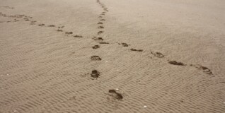 Hvorfor venskabsmenigheder?