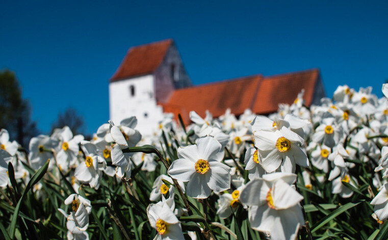 Що таке Folkekirken?