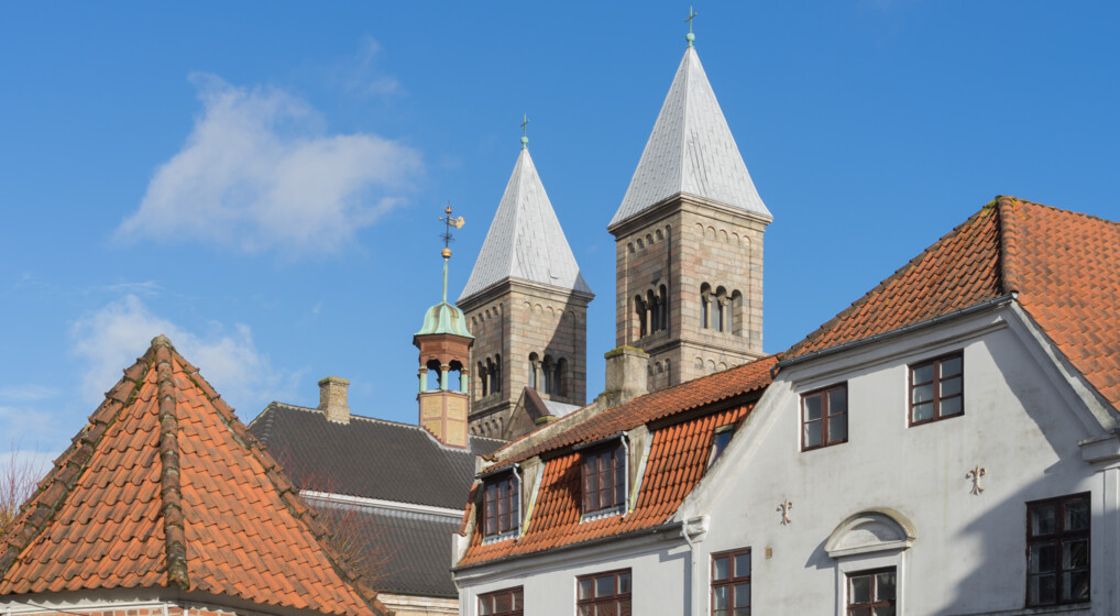 Viborg Domkirke