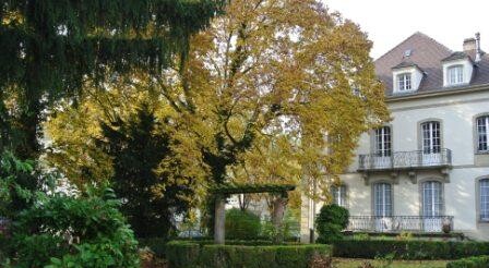 Det Økumeniske Institut i Strasbourg